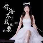 你给不了我想要的 （单曲）