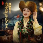 我爱拉萨夜色美 （单曲）