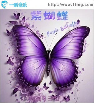 紫蝴蝶（单曲）