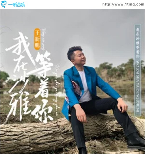 我在沙雅等着你（单曲）