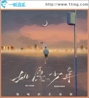 如愿少年 （单曲）