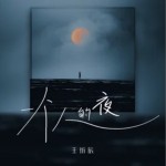 一个人的夜（单曲）
