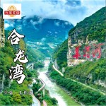 合龙湾 （单曲）详情