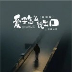 爱要怎么说出口（烟嗓版）（单曲）