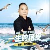 一生的错爱（单曲）