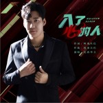 入了心的人（单曲）详情