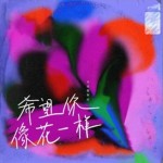 希望你像花一样（单曲）详情
