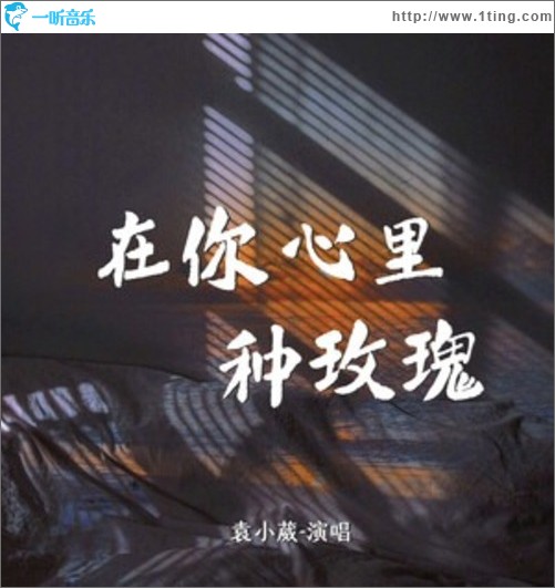 在你心里种玫瑰（单曲）