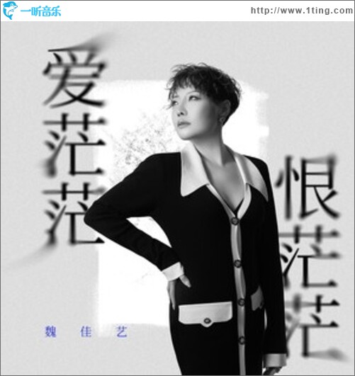 爱茫茫恨茫茫（单曲）