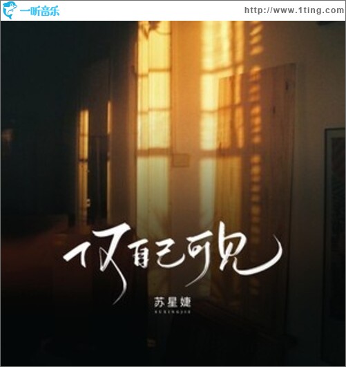 仅自己可见（单曲）