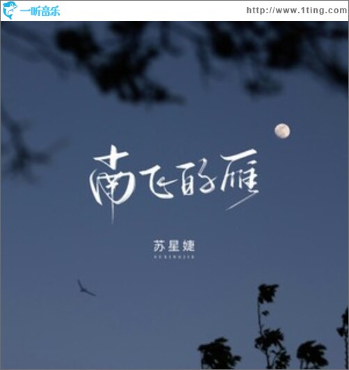 南飞的雁（单曲）
