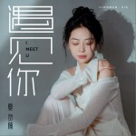遇见你（单曲）详情