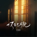 仅自己可见（单曲）