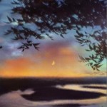 费洛蒙（单曲）