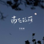 南飞的雁（单曲）