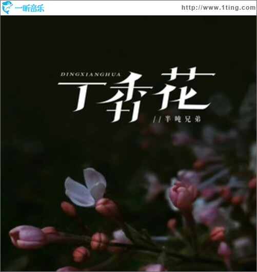 丁香花（烟嗓版）（单曲）