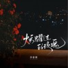 苏星婕 炫耀过的玫瑰 试听
