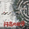陈楚生 闪亮的日子电视剧《雪迷宫》插曲 试听