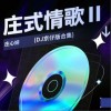 庄心妍 不安 (DJ京仔版) - 庄心妍 试听