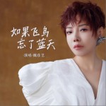 如果飞鸟忘了蓝天（单曲）