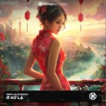 在他乡（Remix版）（单曲）