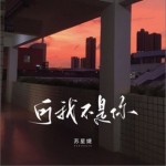可我不是你（单曲）