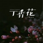 丁香花（烟嗓版）（单曲）