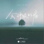 会呼吸的痛（单曲）