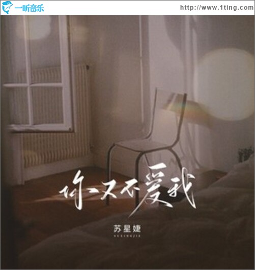 你又不爱我（单曲）