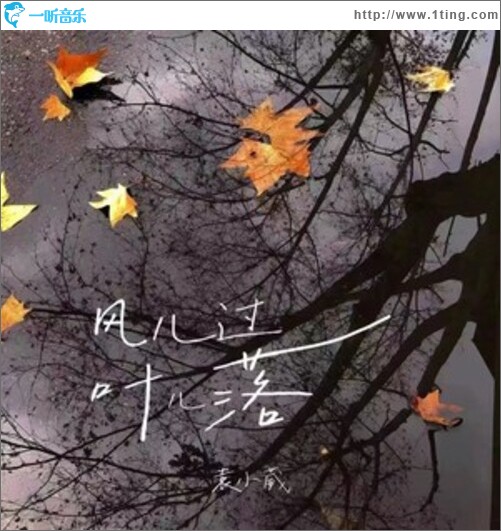风儿过叶儿落（单曲）