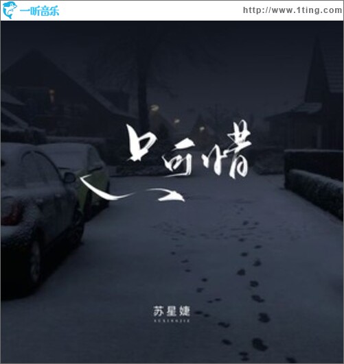 只可惜（单曲）