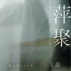 王韵 萍聚 (DJ九零版) 试听