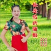 你是我的骄傲（单曲）