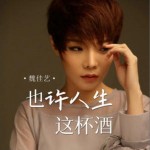 也许人生这杯酒（EP）