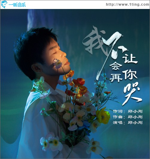 我不会再让你哭（单曲）