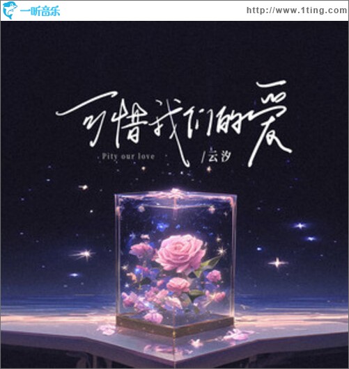 可惜我们的爱（单曲）