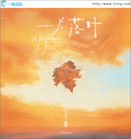 一片落叶