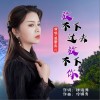 放不下过去放不下你（单曲）