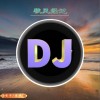 音果迷城 迷城-秋风经过（DJ沈念版） 试听