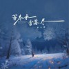 袁小葳 等冬来雪落尽 试听
