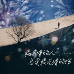 最痴情的人总受最无情的伤（单曲）试听