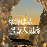 你的世界已万人拥挤（单曲）试听