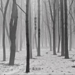 攒够失望再离开（单曲）