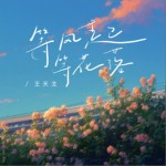 等风起等花落（单曲）试听
