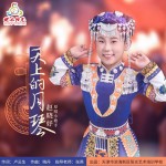 天上的月琴（单曲）详情