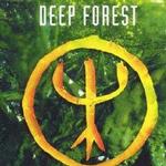 A Walk In The Forest详情