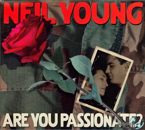 Are You Passionate?