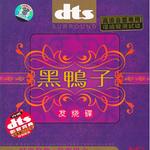 黑鸭子 发烧碟