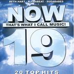 Now That's What I Call Music 19 (Danish Edition)