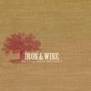 Iron & Wine Someday the Waves 试听